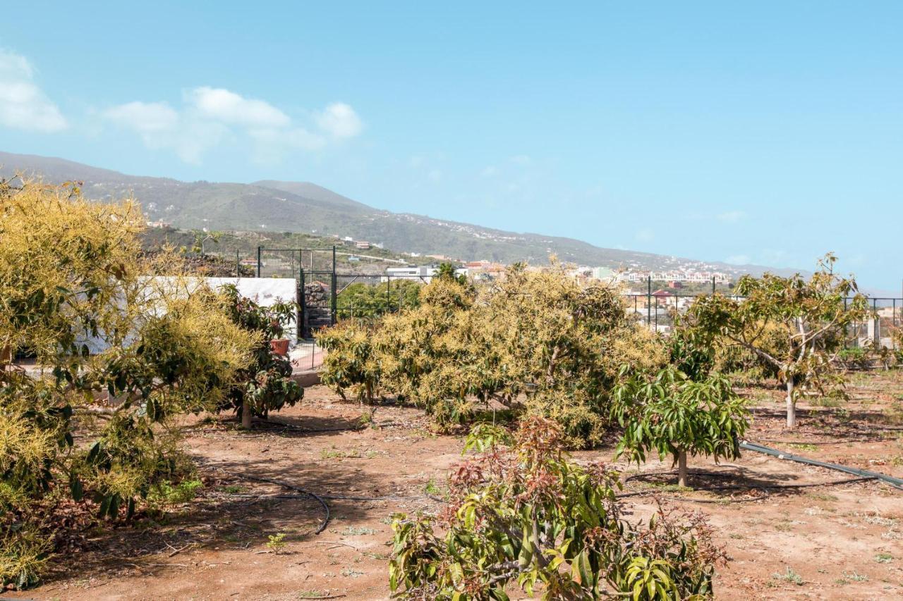 Casa Quemahierro 1 Villa Icod De Los Vinos Eksteriør bilde